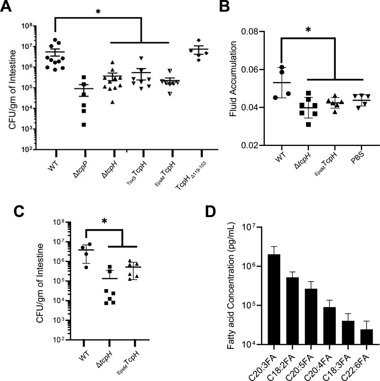 Graphs quantify bacterial colonization in infected infant mice, infection-induced fluid buildup, bacterial load, and fatty acid profiles in the infant mouse intestine.