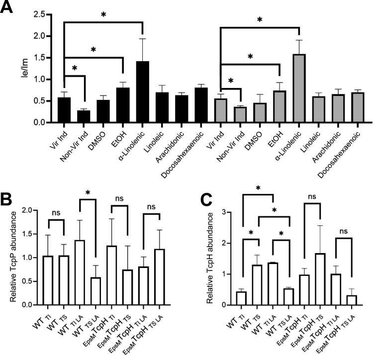 Graphs plot the ratio of excimer to monomer fluorescence of pyrene decanoic acid, the relative abundance of TcpP, TcpH, and EpsMTcpH proteins across different membrane fractions and culture conditions for WT and EpsMTcpH cells.