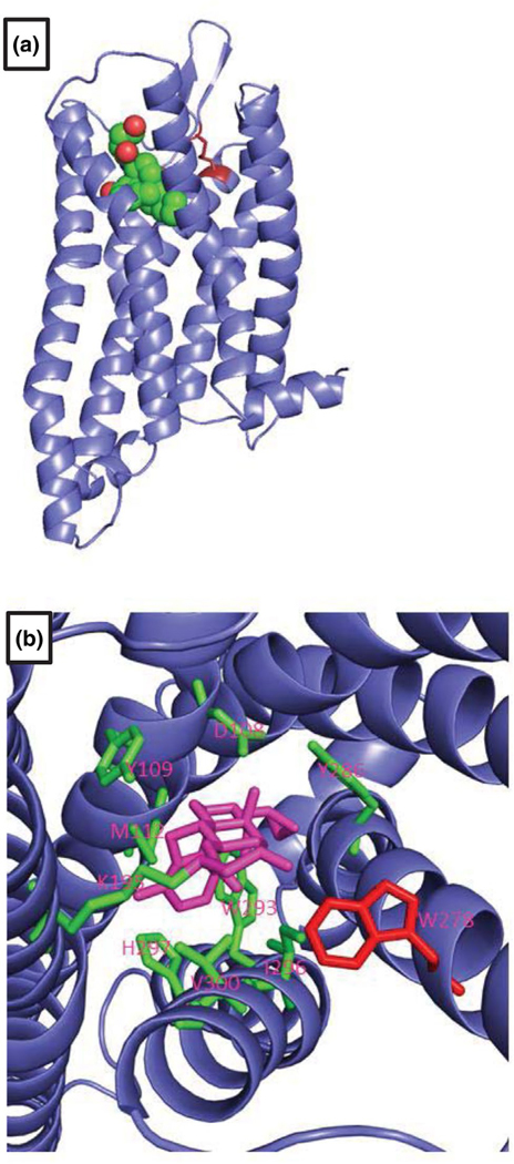 FIGURE 3