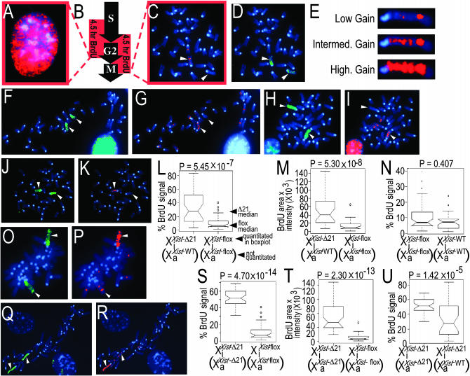 Figure 2.—