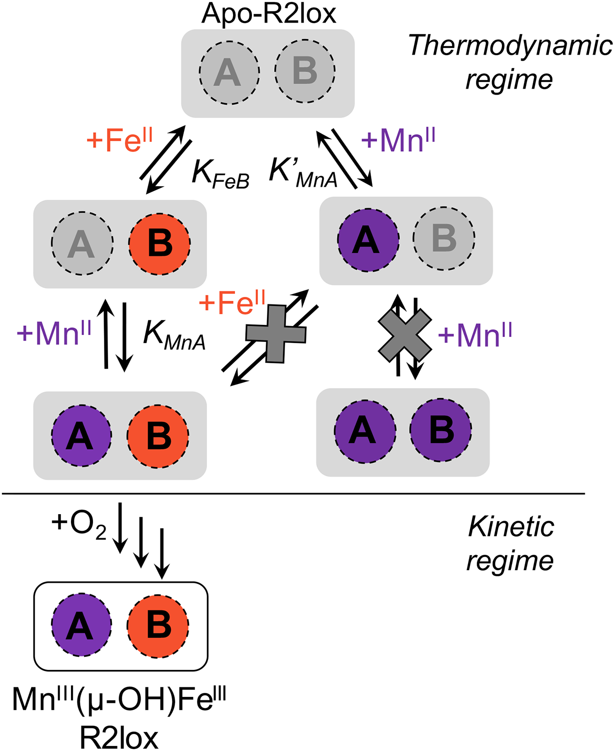 Figure 10.