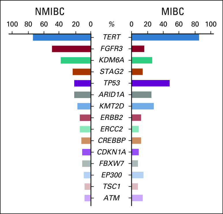 FIG 1.