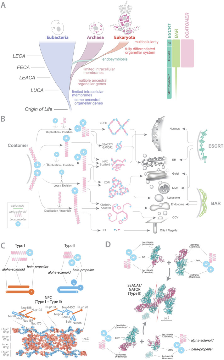 FIGURE 1: