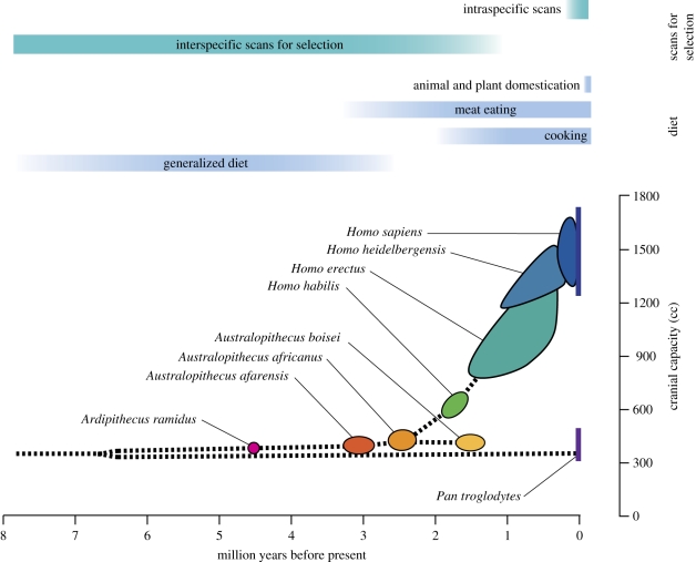 Figure 1.