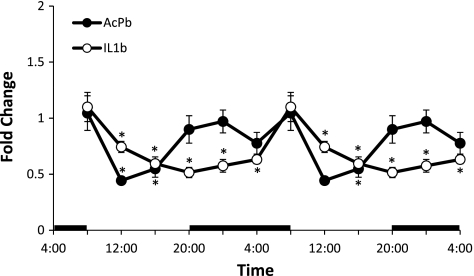 Fig. 3.