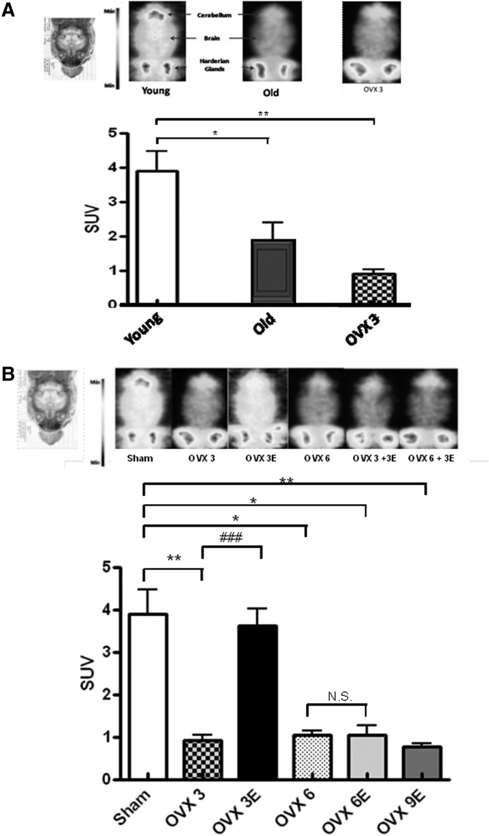 FIG. 5.