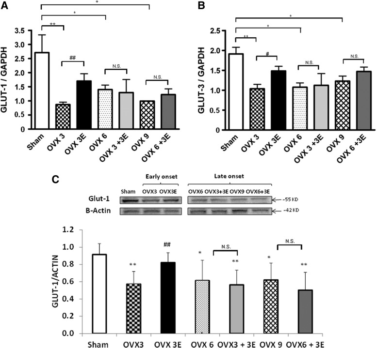 FIG. 6.