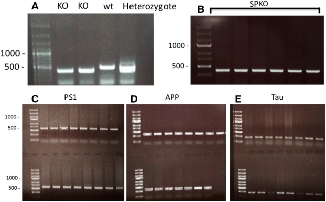 Figure 5.