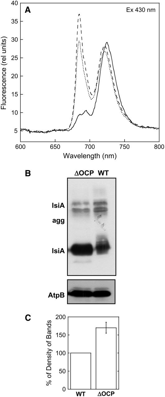 Figure 12.