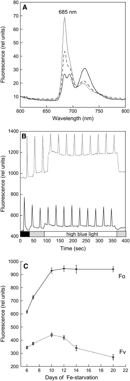 Figure 10.