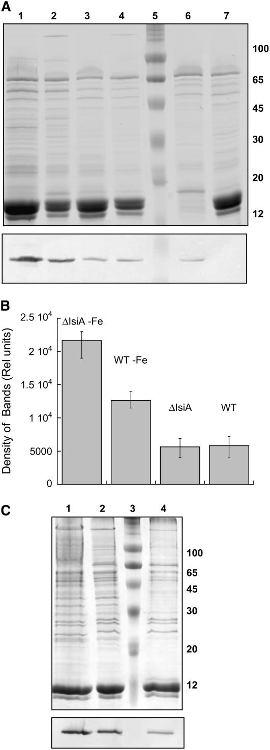 Figure 9.