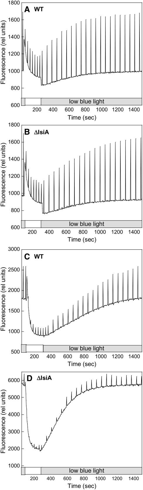 Figure 7.