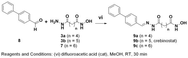 Scheme 3