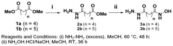 Scheme 1