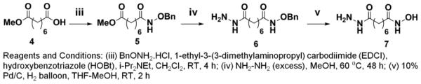 Scheme 2