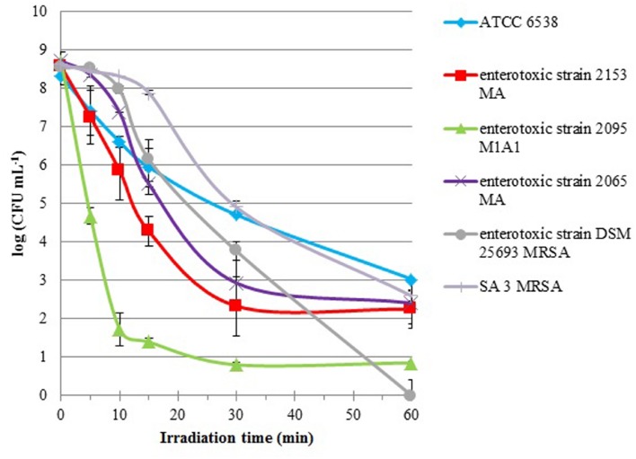 FIGURE 1