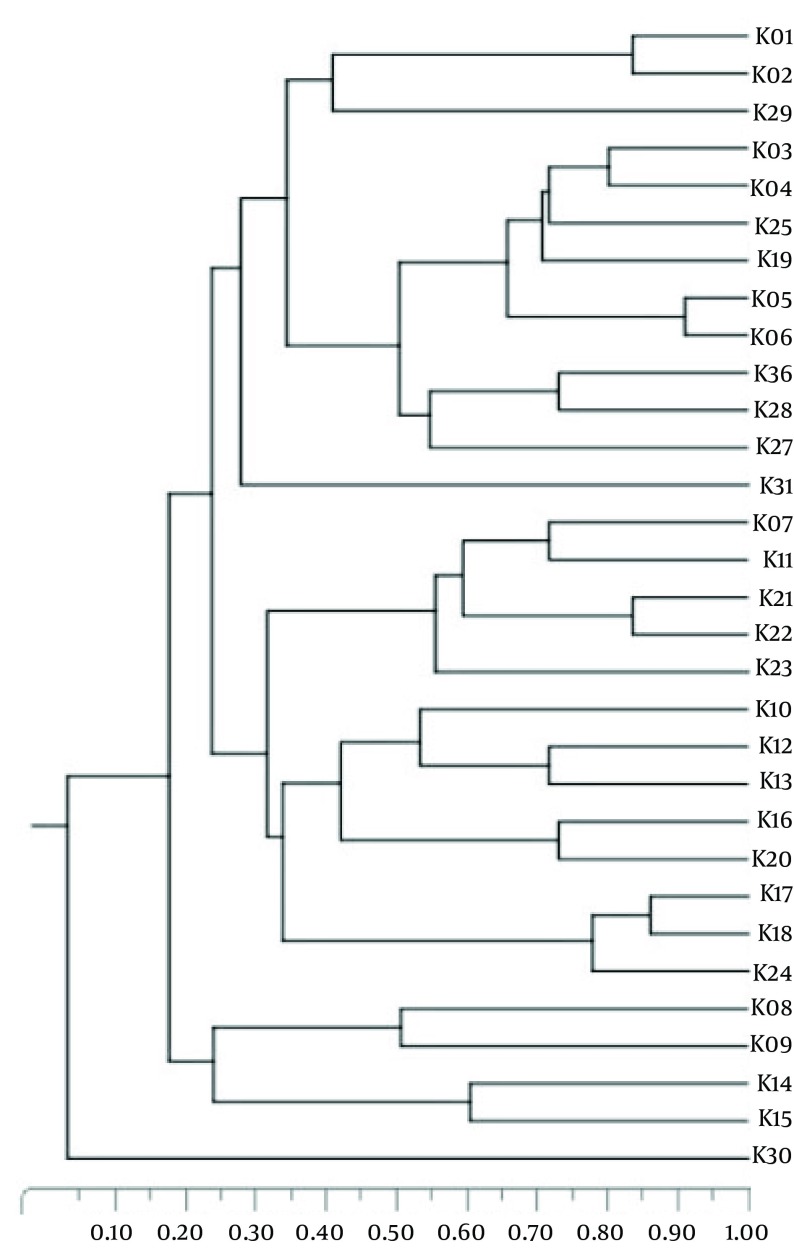 Figure 1.