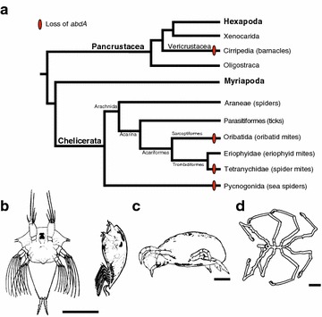 Fig. 3