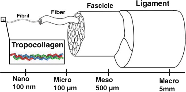 Fig. 1