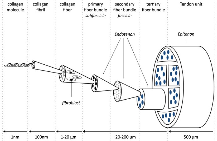 Fig. 2