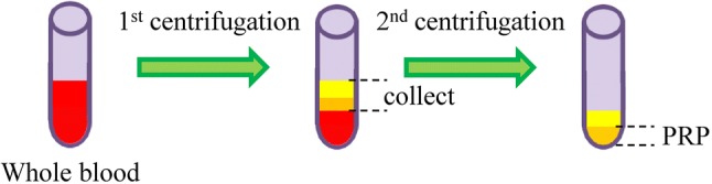 Fig. 9