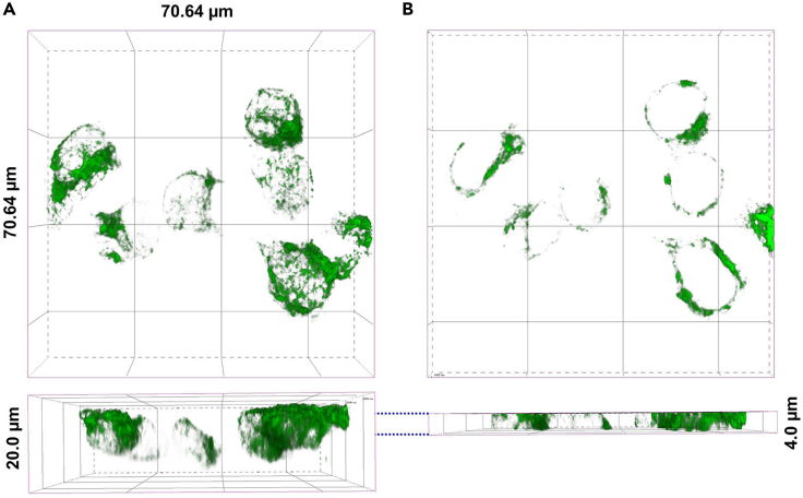 Figure 4