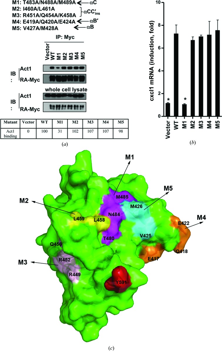 Figure 4