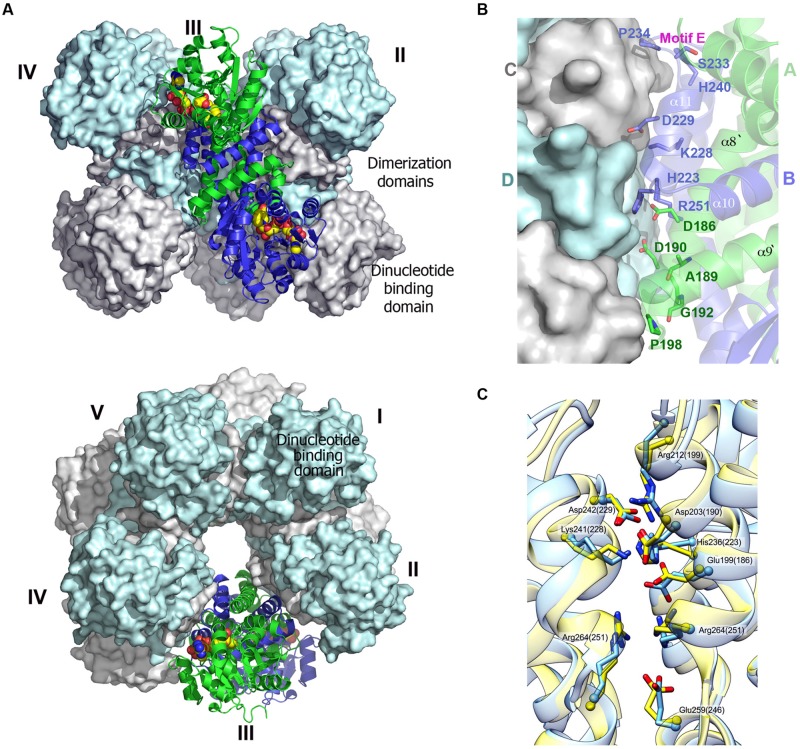 FIGURE 4