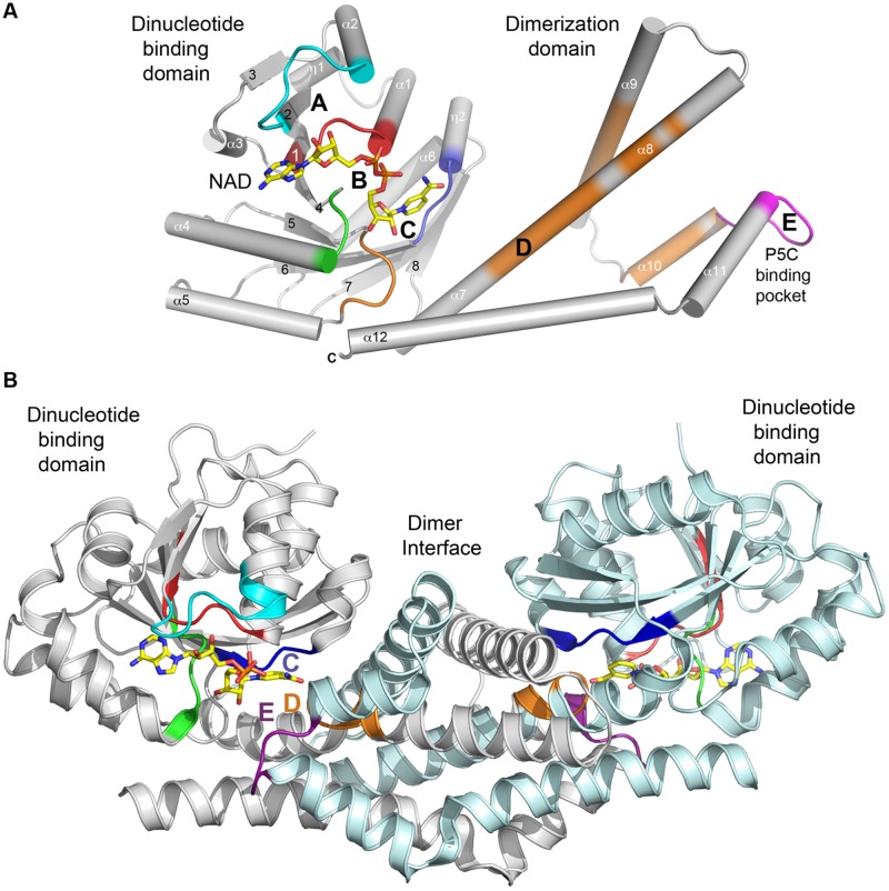 FIGURE 3