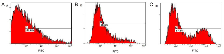 Figure 9.