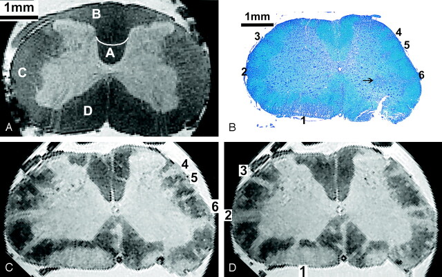 Fig 2.