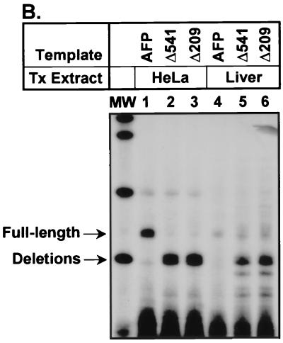 FIG. 6