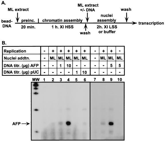 FIG. 5