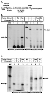 FIG. 1