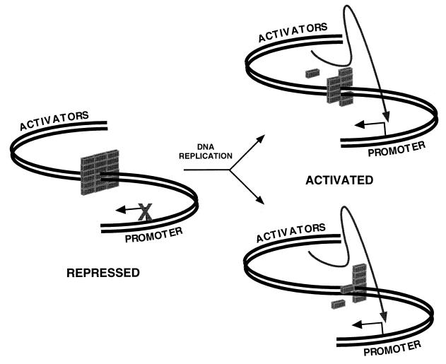 FIG. 7