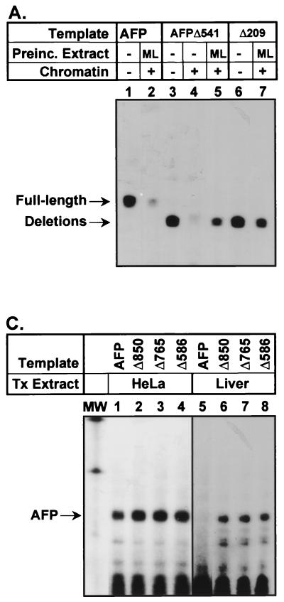 FIG. 6