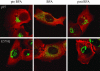 Figure 10.