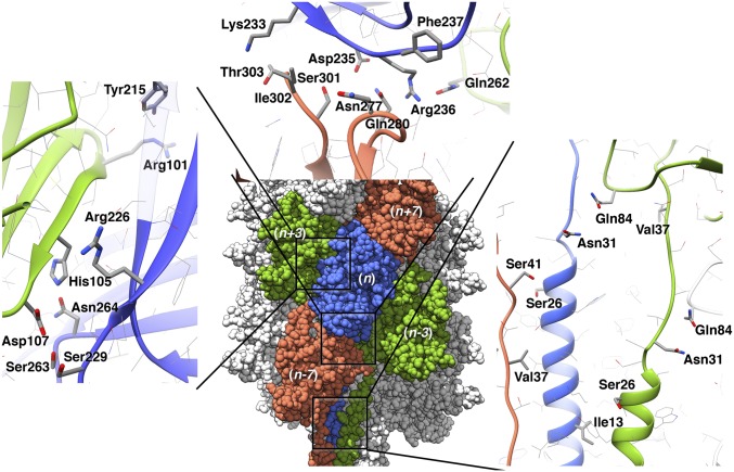 Fig. 4.