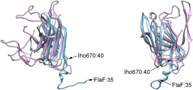 Fig. S2.