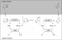 Scheme 13