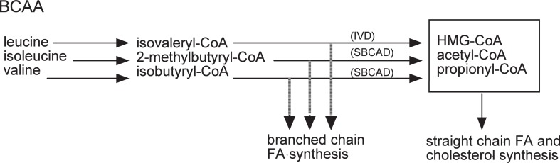 Fig. 12.