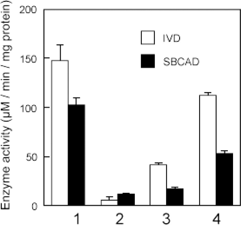 Fig. 14.