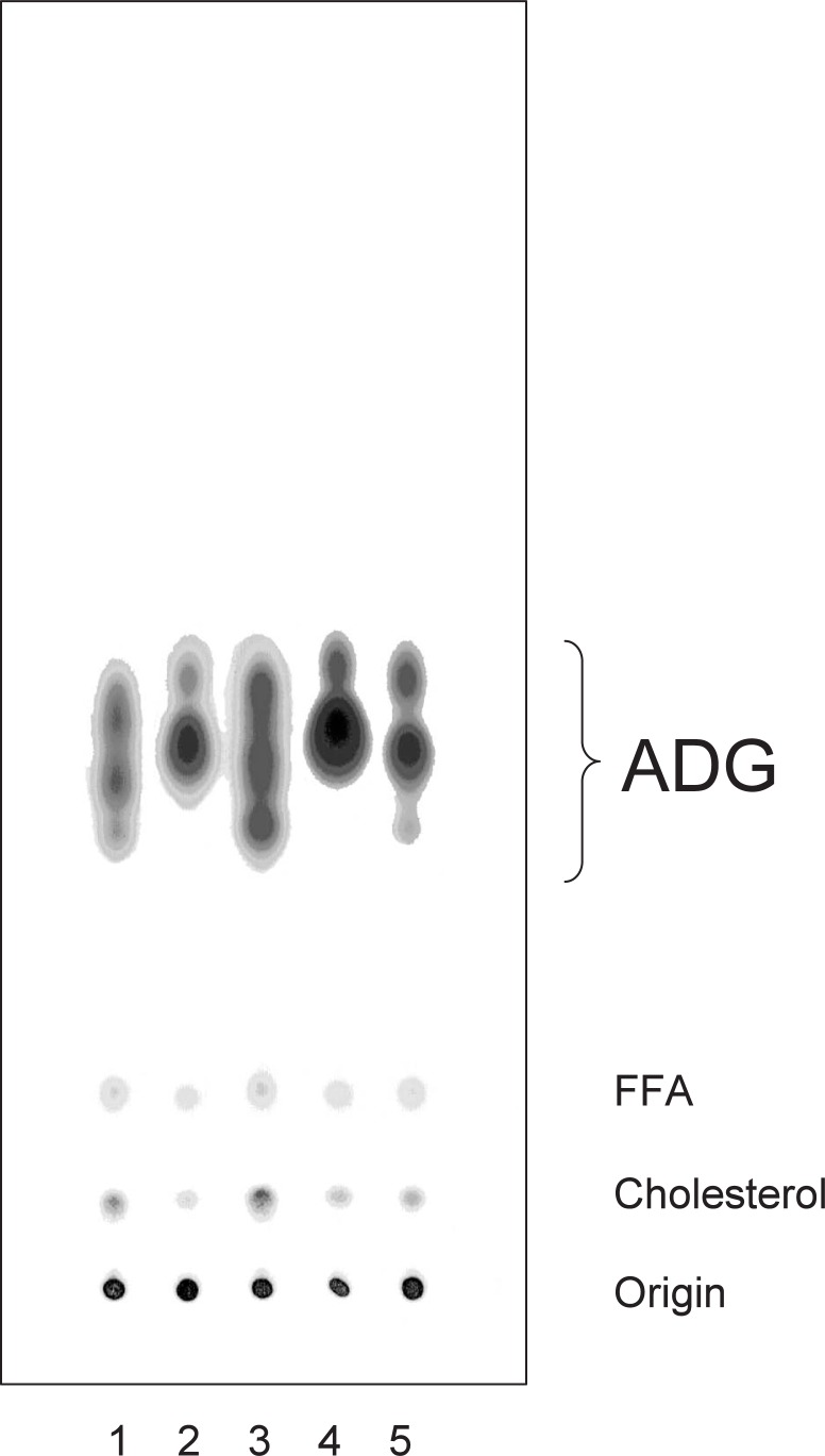 Fig. 13.