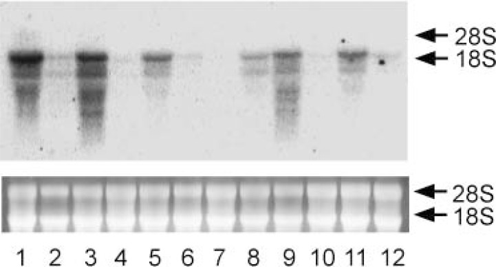 Fig. 16.