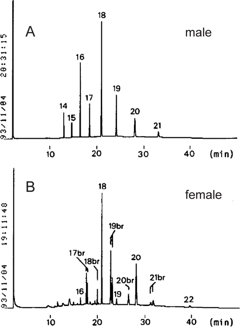 Fig. 5.