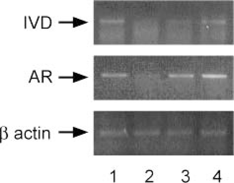 Fig. 17.