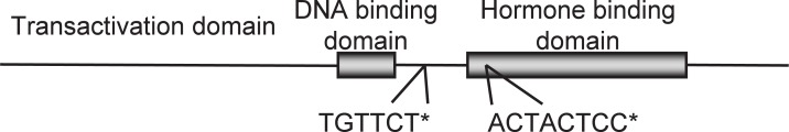 Fig. 18.