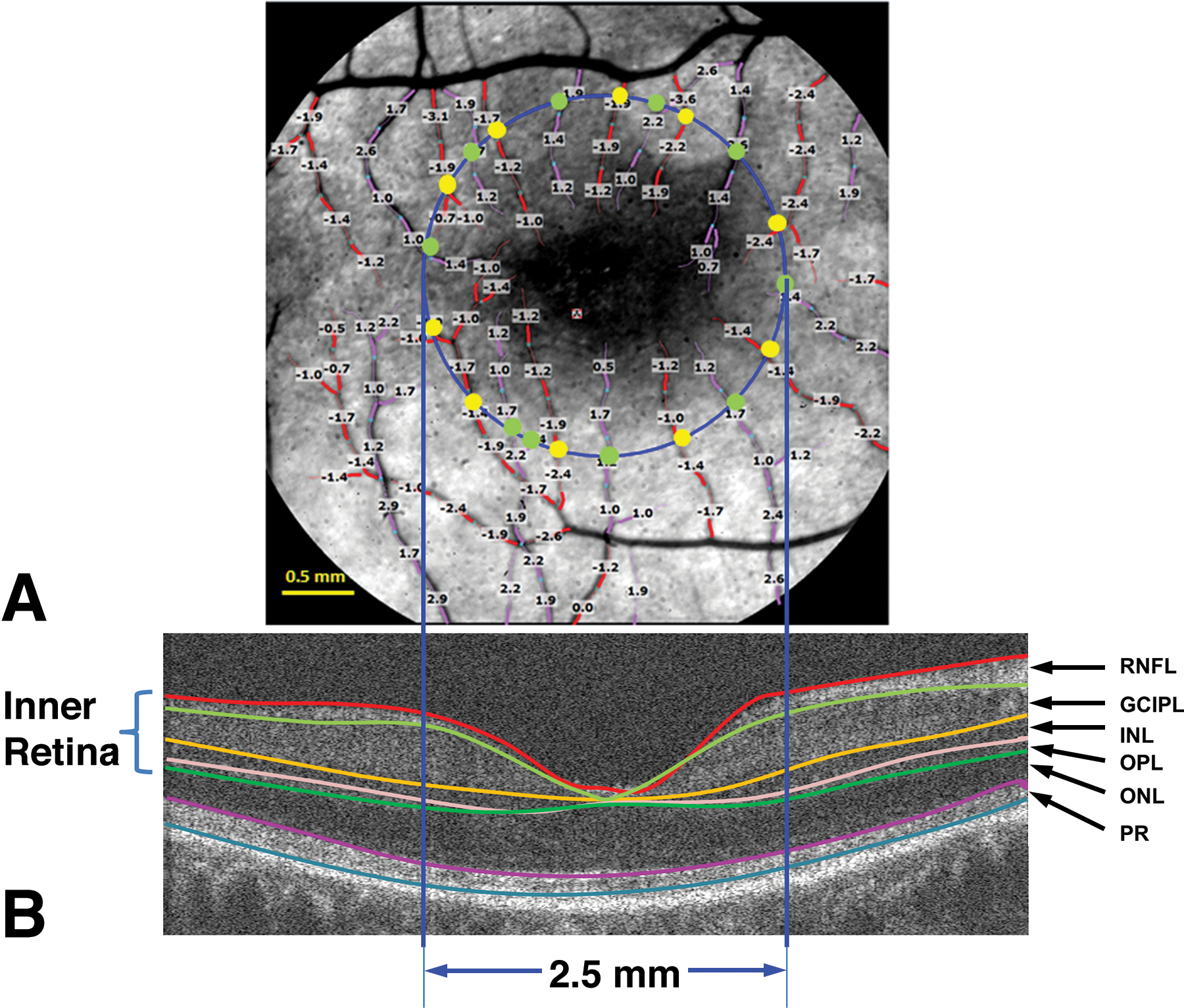 Fig.4.