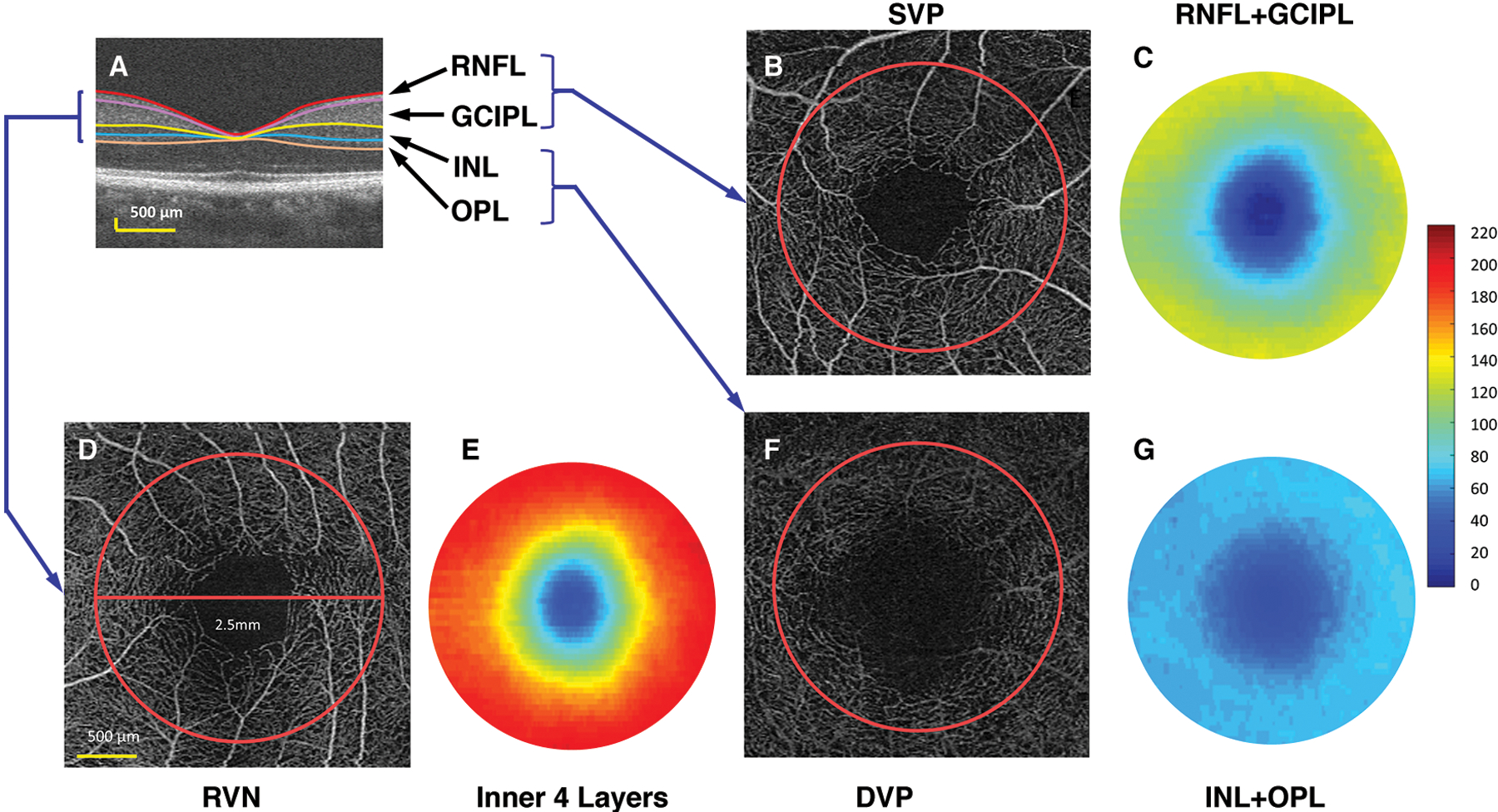 Fig.1