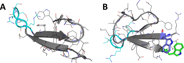 Figure 2.